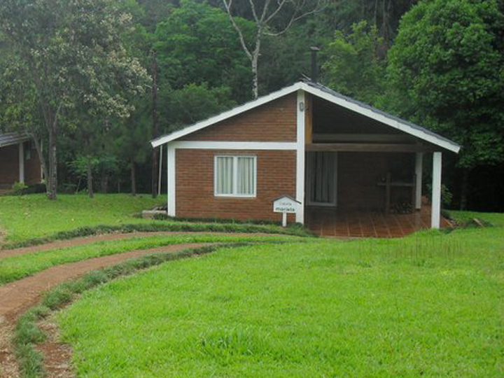 Cómo mantener tu amplio jardín 